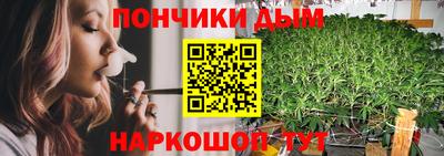 jwh Бийск