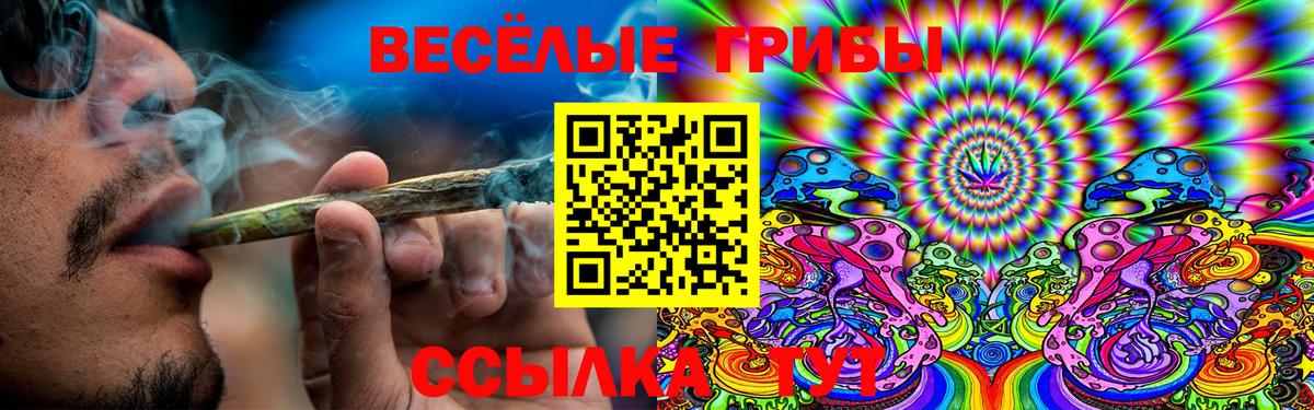 Псилоцибиновые грибы Psilocybine cubensis  Вход с VPN  Зима 